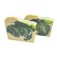 Black Coral & Moss Goat Milk Soap
